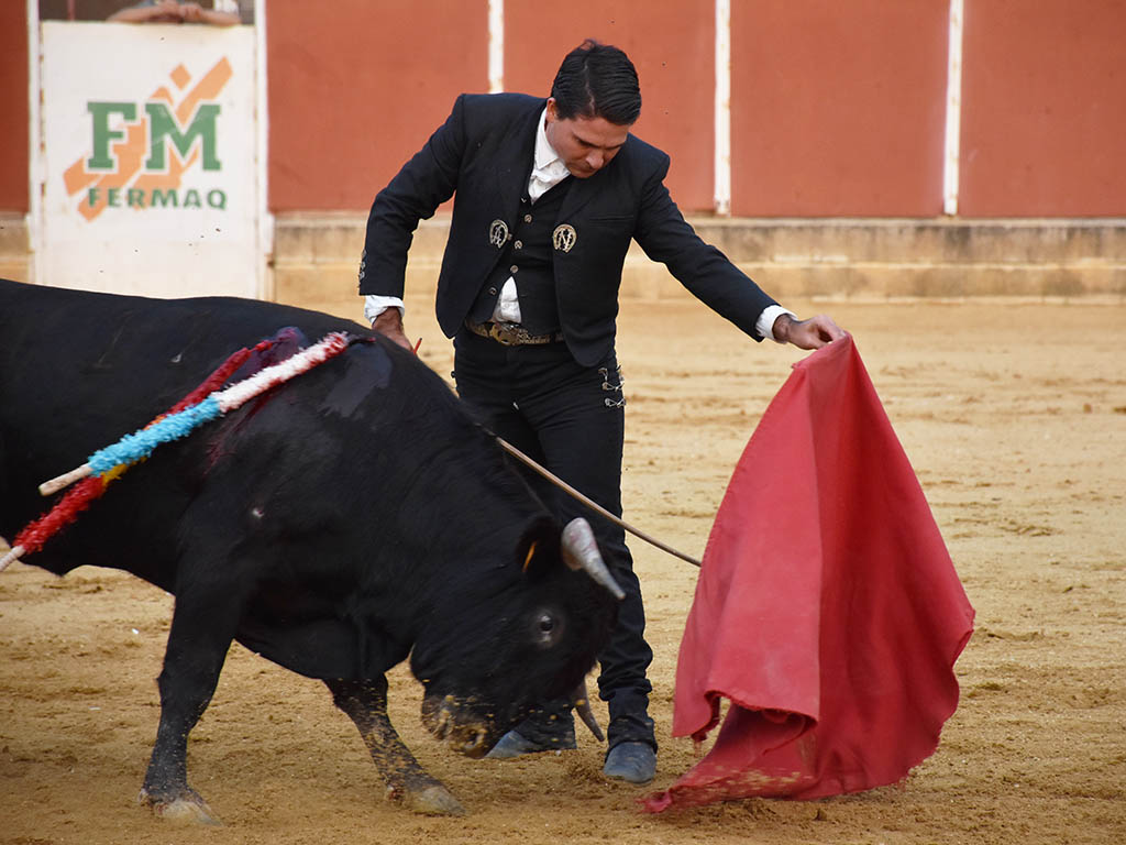 Michelito, toreando al natural. / A.M.