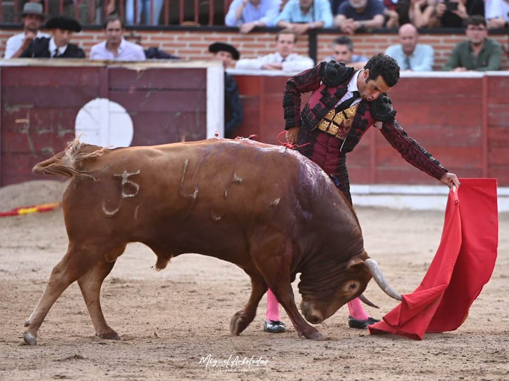 Triunfo de Morenito de Aranda y Sergio Rodríguez en El Espinar con los toros de Peñajara 2 Natural largo e Morenito de Aranda en El Espinar. / MIGUEL ARBOLEDAS FOTOGRAFÍA TAURINA (LOYJOR)