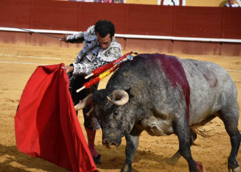 Jesús Martínez 'Morenito de Aranda', con un toro de Partido de Resina en Cuéllar (2021). / A.M.