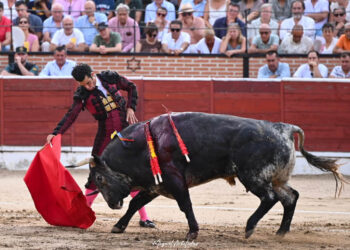 Derechazo de Morenito de Aranda a un toro de Peñajara en El Espinar. / MIGUEL ARBOLEDAS FOTOGRAFÍA TAURINA (LOYJOR)