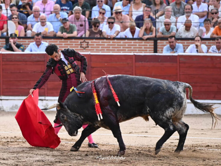 Triunfo de Morenito de Aranda y Sergio Rodríguez en El Espinar con los toros de Peñajara 1 Derechazo de Morenito de Aranda a un toro de Peñajara en El Espinar. / MIGUEL ARBOLEDAS FOTOGRAFÍA TAURINA (LOYJOR)