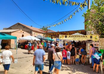 Concurso de espantapájaros / ASOCIACIÓN ‘AMIGOS DE TEJARES’