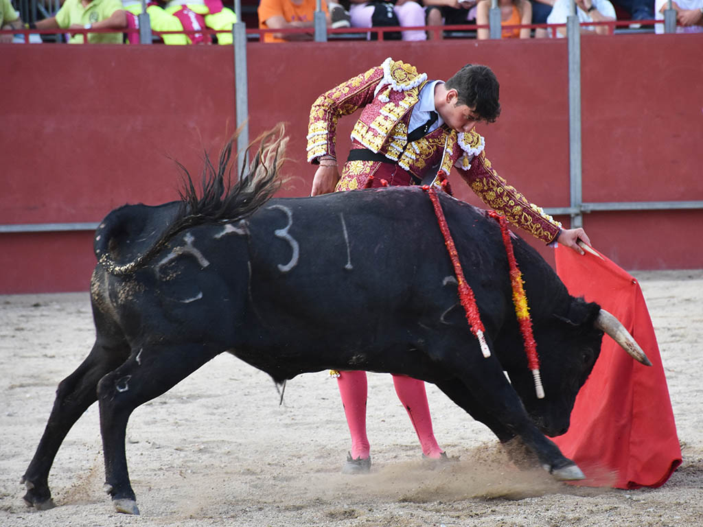 Muletazo largo de Pedro Andrés. / A.M.