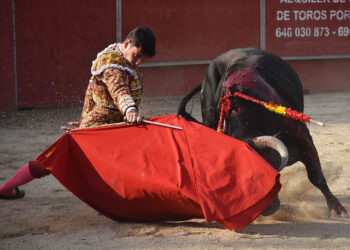 Pedro Andrés, en el inicio de muleta con el novillo 'Enojadito', de Raso de Portillo. / A.M.