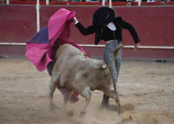 Plaza de Toros de Carbonero el Mayor. / A.M.