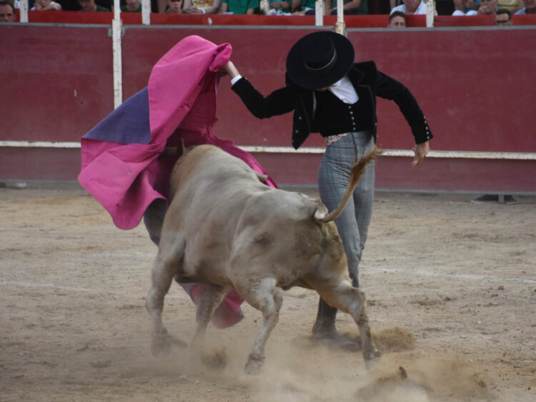 Plaza de Toros de Carbonero el Mayor. / A.M.