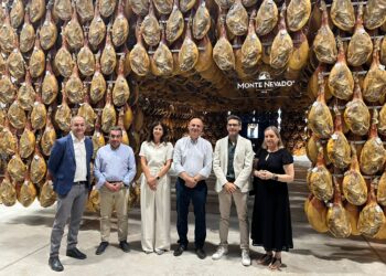 Presentación del proyecto de investigación’Innomadur’ / JCYL