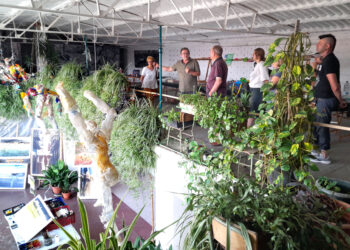 Raúl Sánchez durante una de las jornadas en su taller / AMADOR MARUGÁN