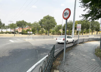 Espacios libre de uso público anejos a la avenida Vicente Aleixandre, en Nueva Segovia. / HÉCTOR CRIADO