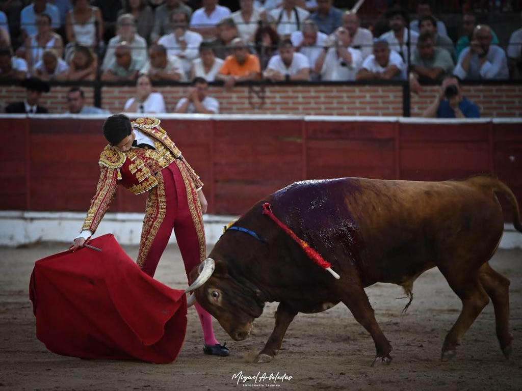 Triunfo de Morenito de Aranda y Sergio Rodríguez en El Espinar con los toros de Peñajara 4 Sergio Rodríguez, con un toro de Peñajara en El Espinar. / MIGUEL ARBOLEDAS FOTOGRAFÍA TAURINA (LOYJOR)