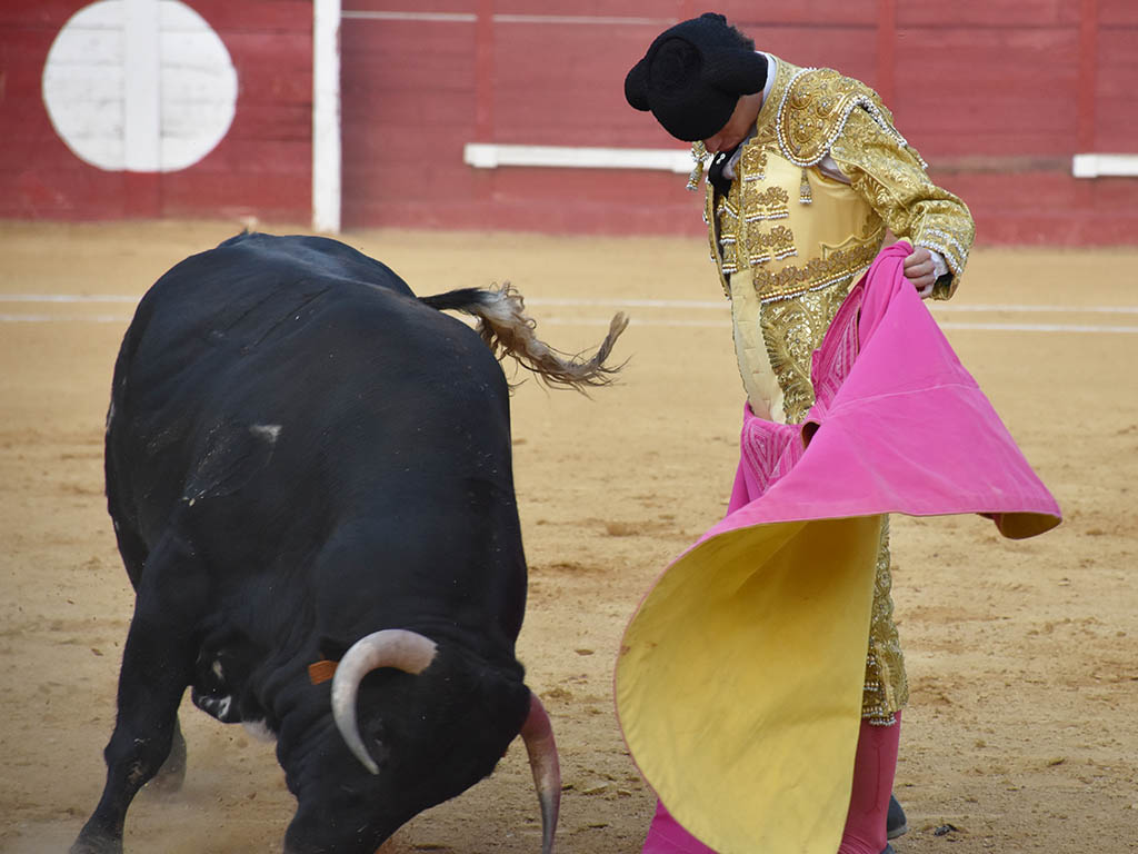 Tomás González, a la verónica. / A.M.