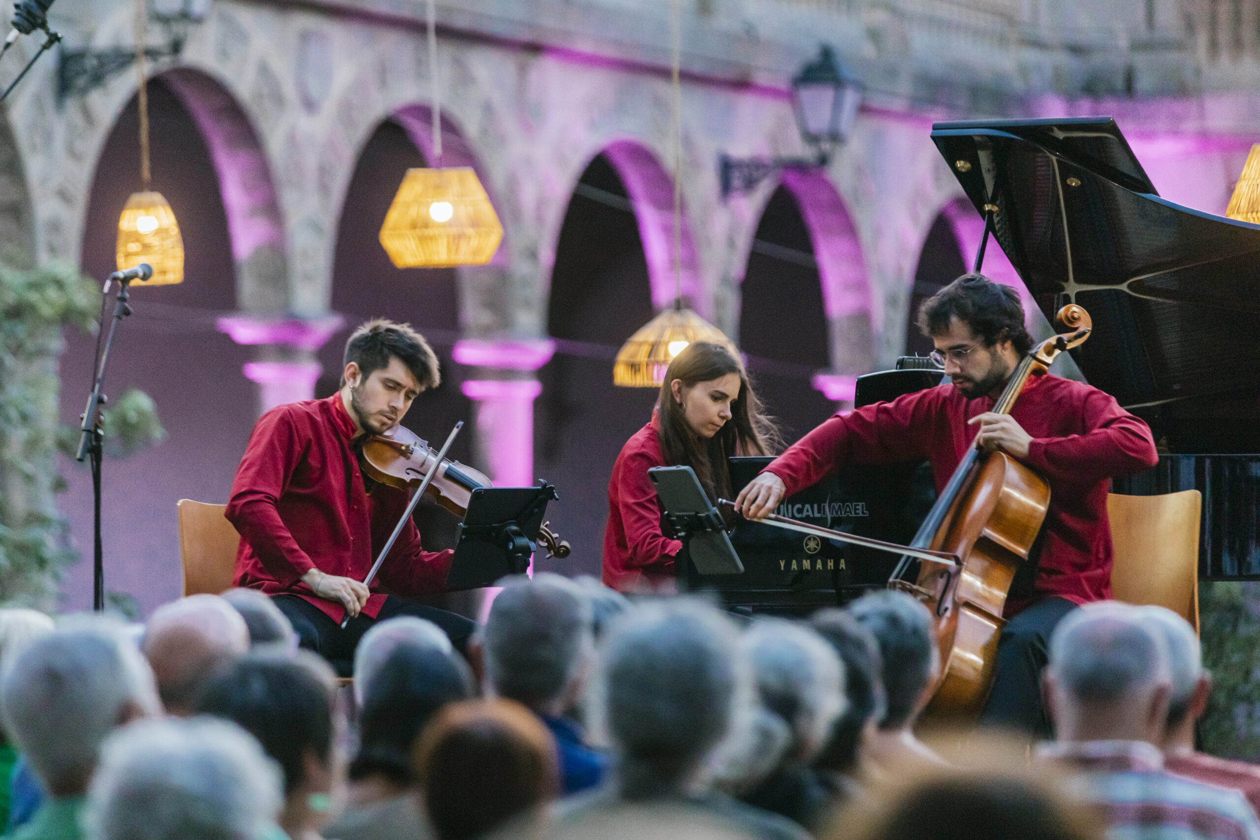 Actuación del Trío Hélix en la Abadía de Párraces 2 Actuación del Trío Hélix / NACHO VALVERDE