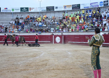 Vuelta al ruedo al último novillo de Polo Saiz, lidiado por Félix San Román. / A.M.