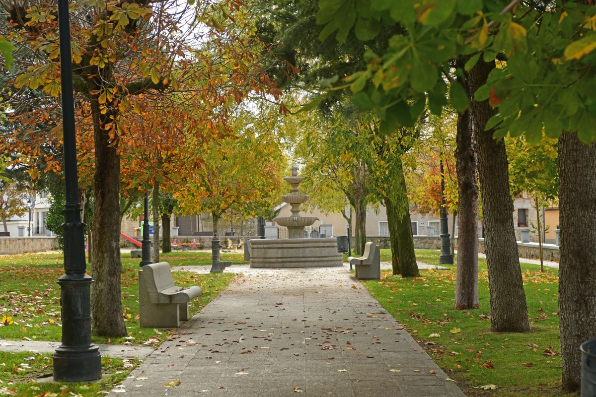 EL VERANO (y III): CADA MOCHUELO A SU OLIVO 2 Navas de San Antonio. José Antonio Santos.