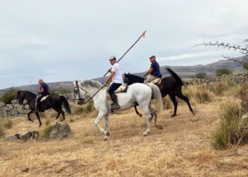 Los encierros camperos, la suelta de vaquillas y los concursos de recortes son fijos en Villacastín.