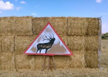 'El bramido de la Tierra' de Luis Moro – La Perla Escondida 2024 / OPERA ASOCIACIÓN