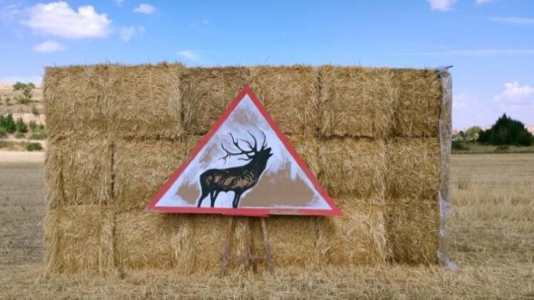 El evento artístico 'La Perla Escondida' celebra su XV edición en Adrada de Pirón 1 'El bramido de la Tierra' de Luis Moro – La Perla Escondida 2024 / OPERA ASOCIACIÓN