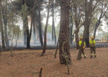 Personal del equipo de extinción, vigilando que las llamas del autocargador incendiado en Fuenterrebollo no superaran el perímetro acotado. /DANI S.