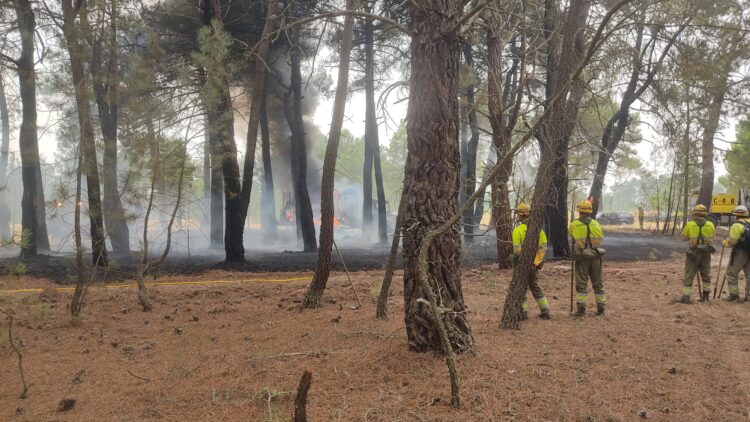 Personal del equipo de extinción, vigilando que las llamas del autocargador incendiado en Fuenterrebollo no superaran el perímetro acotado. /DANI S.