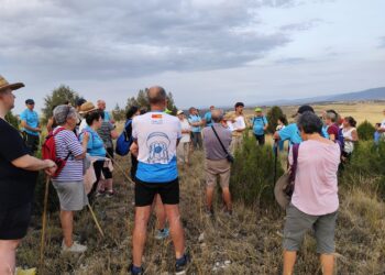Visita guiada celebrada al Cerro del Castrejón / E.A.