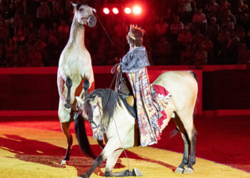 Espectáculo de Paco Martos / LUIS MANUEL LOMBARDERO