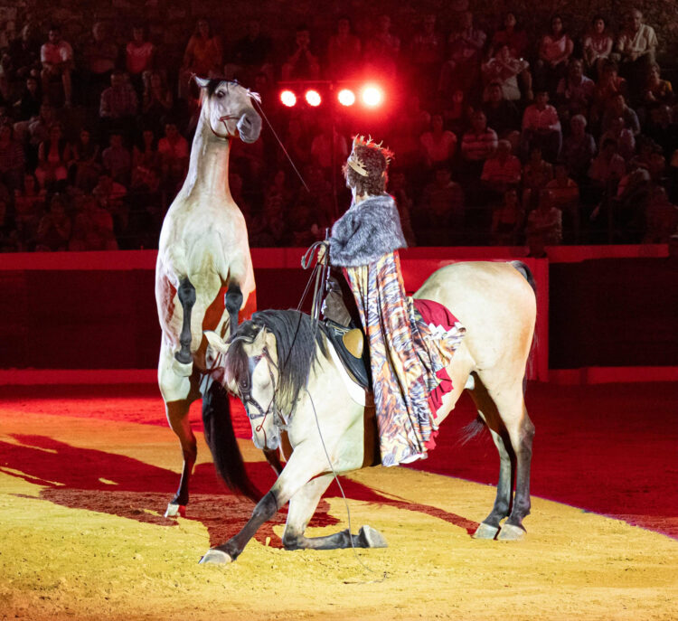 La exhibición ecuestre ‘La Leyenda del Pájaro Azul’ de Paco Martos llega a Cantalejo 1 Espectáculo de Paco Martos / LUIS MANUEL LOMBARDERO