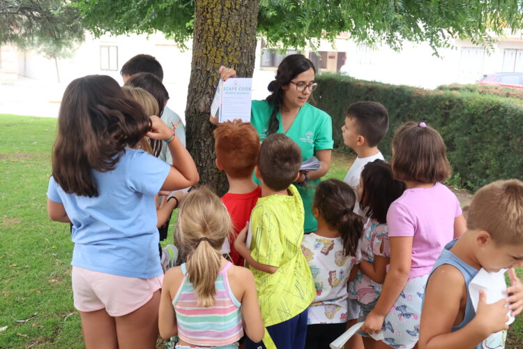Éxito de participación en el programa 'Scape Cook con Alimentos de Segovia' 1 El programa reunió a más de ochenta niños / DIPUTACIÓN