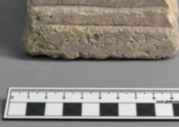 Imagen de archivo./E.A