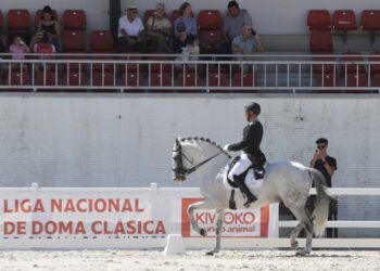 José Fernández y ‘Lince’ durante un ejercicio. /FHCYL