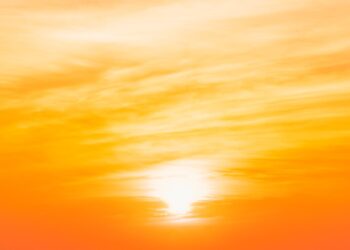 mrsiraphol - freepik.es