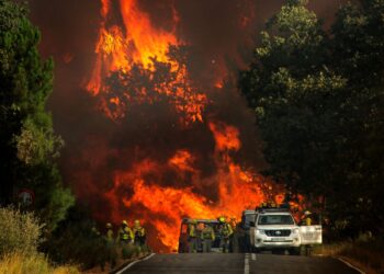 Incendio en El Payo (Salamanca). Ical.