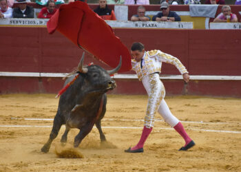 Pase de pecho de Sánchez Vara a uno de los toros de Partido de Resina, lidiados en Cuéllar. / A.M.