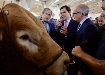Mañueco durante la inauguración de la feria del sector agropecuario Salamaq. SUSANA MARTÍN.