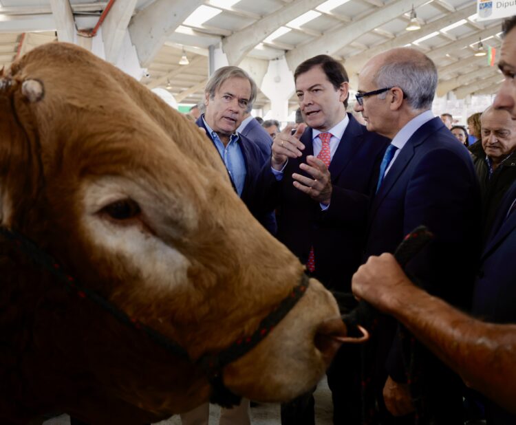 Mañueco anuncia un plan para impulsar la ganadería extensiva 1 Mañueco durante la inauguración de la feria del sector agropecuario Salamaq. SUSANA MARTÍN.