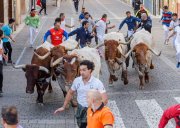 Toros de la ganadería Partido de Resina durante el segundo encierro. ICAL