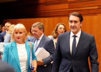 El Consejero de Medio Ambiente en el Pleno de las Cortes. / Miriam -chacón