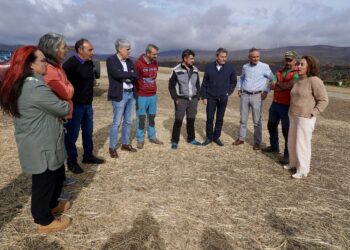 González corral visita una ganadería de ovino en Chana de Somoza, León. / Campillo
