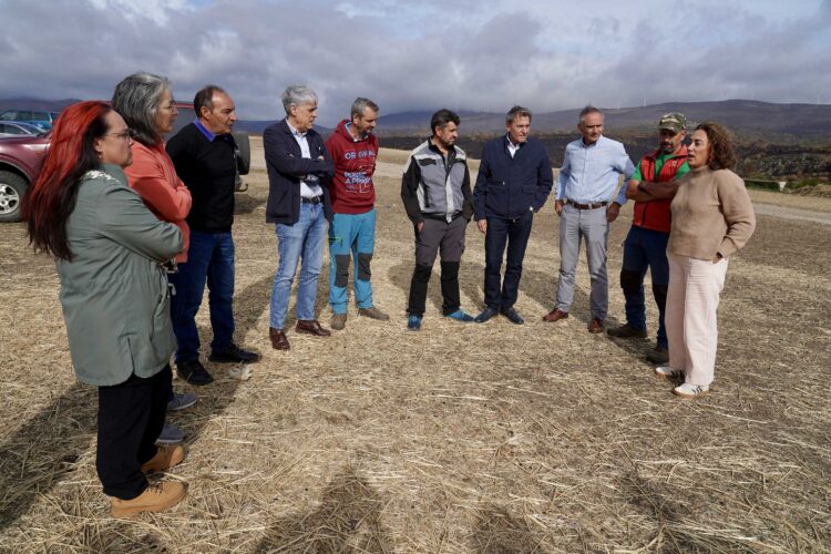 González corral visita una ganadería de ovino en Chana de Somoza, León. / Campillo