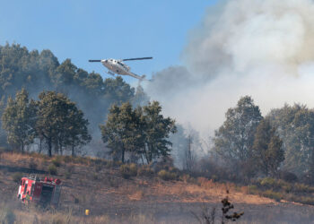 Las causas del fuego se encuentran bajo investigación. / Peio García