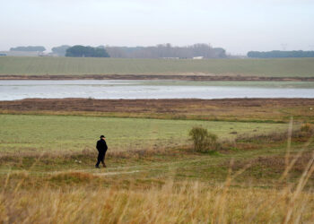 Los trabajos incluyen la limpieza de cauces y supresión o desvíos de drenajes. / Leticia Pérez