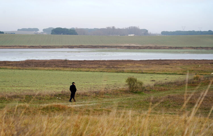 Medio Ambiente destina 10,4 millones a la restauración de 57 humedales 1 Los trabajos incluyen la limpieza de cauces y supresión o desvíos de drenajes. / Leticia Pérez