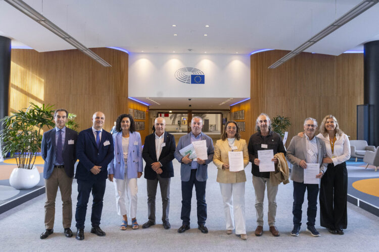 Junta y agricultores rechazan en Bruselas el recorte de 10.500 millones de la PAC en 2028 1 La Consejera de Agricultura y representantes de las OPA de Castilla y León acuden al Parlamento Europeo. / Bernal Revert