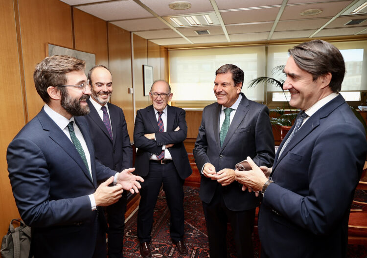 La Junta presentará alegaciones y observaciones a la planificación de electricidad del Gobierno 1 Reunión sobre la planificación del transporte energético en la Comunidad. / Juan Lázaro