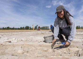 Sonia Díaz, codirectora de la excavación, desenterrando restos humanos. / Miriam Chacón