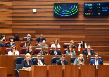 Momento de votaciones durante la sesión de Pleno en las Cortes. / Miriam Chacón