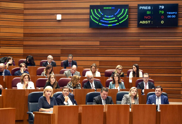 Momento de votaciones durante la sesión de Pleno en las Cortes. / Miriam Chacón
