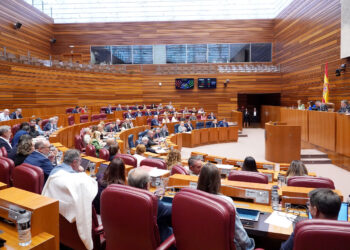 Momento de votaciones en el Pleno de las Cortes autonómicas. / Miriam Chacón