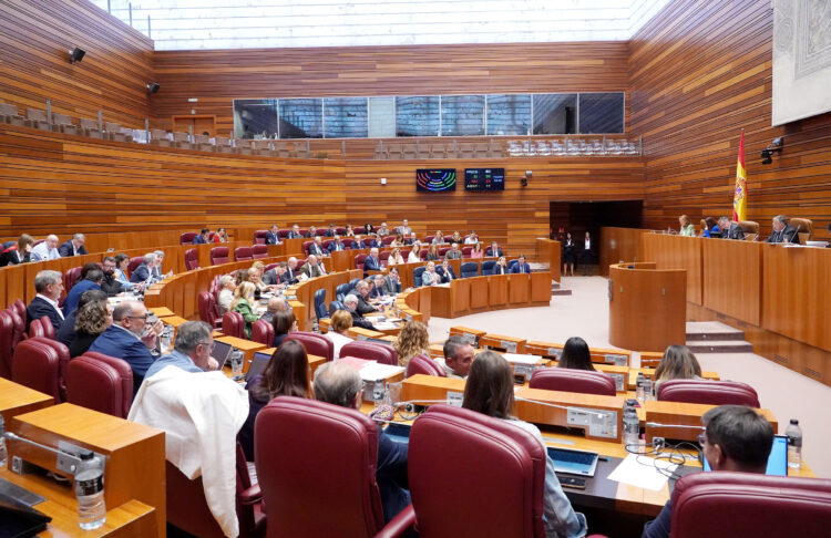 Momento de votaciones en el Pleno de las Cortes autonómicas. / Miriam Chacón
