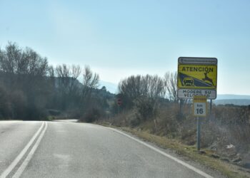 Limitar la velocidad en zonas de peligro es el método más efectivo para evitar accidentes.