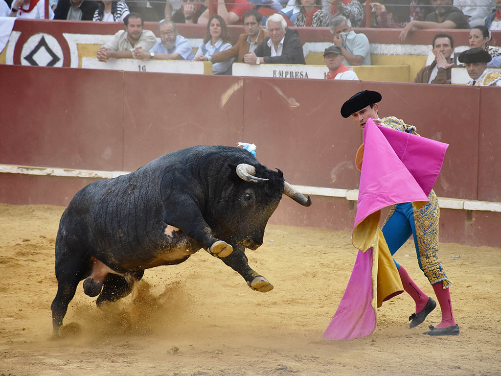 Partido de Resina, entre las complicaciones y las opciones 5 André Lagravere ‘El Galo’ recibe al tercer toro de Partido de Resina. / A.M.